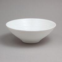 סט 6 קערות 20 גבוהה סטיירו