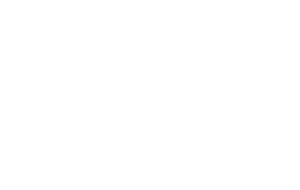 פרו קיטשן